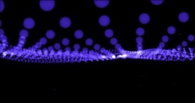 Hypnotic Wave