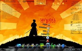 The way of the Samurai