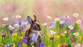 Easter_Bunnies