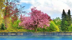 Beautiful_Spring_Day