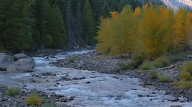 Scenic_Autumn_River