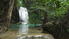 Relaxing_Forest_Waterfall