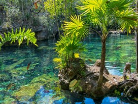 Tropical_Mexico