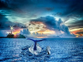 Whale_Sighting