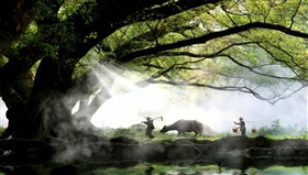Vietnamese_Farmers