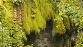Little_Moss_Falls