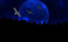 Blue Moon - #Summer09