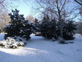 schneeimpressionen