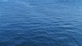 Harbour Ripples