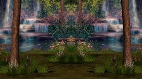 Beautiful Garden