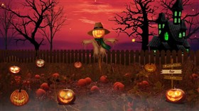 Pumpkin Patch