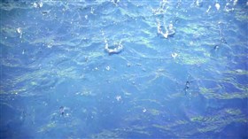 Splashing Water