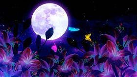 Spring Nights