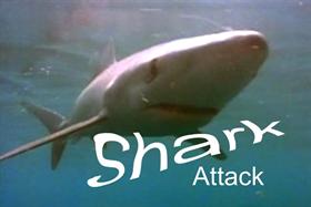 Shark Attack !!  w/sound