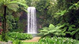 Millaa Millaa Falls