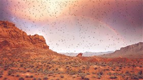 Desert Rainbow
