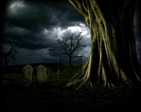Grave Yard Tree