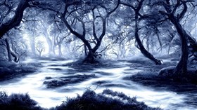 4K Black Forest