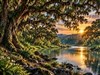 4K Oak River