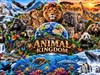 4K Animal Kingdom