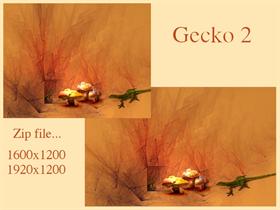 Gecko 2