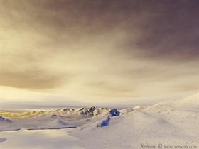 Winter Solstice
