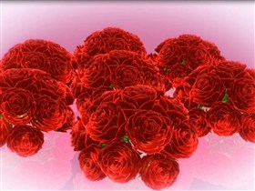 red roses