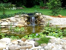 garden pond falls