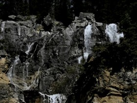 deep forest waterfall