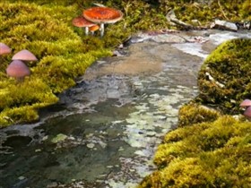 mossy stream v 2.0