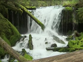 spring creek falls