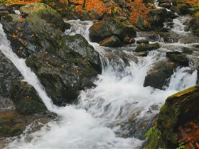 fast autumn falls