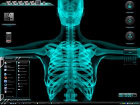 Skeletal 2
