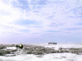 Coastal Winter