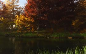 The Park Bench