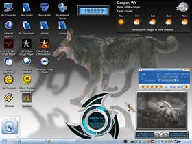 Wolf spirit