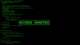 access-granted