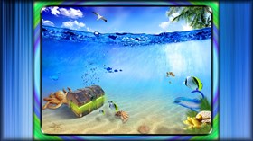 Sea treasure 8k