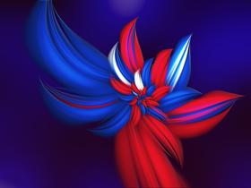 Fourth Of July Flower