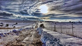 Winters Last Sigh