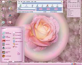 Spring Rose