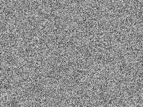 No Signal