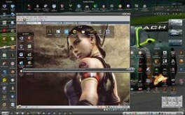 Screen20100303