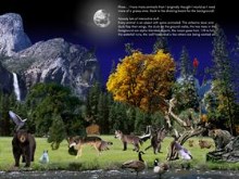 Wildlife for DX step2