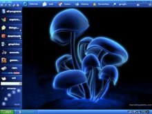 blue shrooms 1024x768