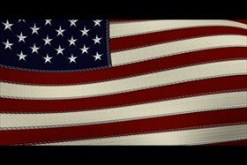 USA Flag