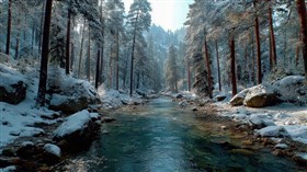 Along the Hike