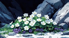Still Snow