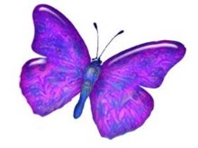 LiquidButterfly