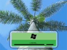Vista Green BootSkin